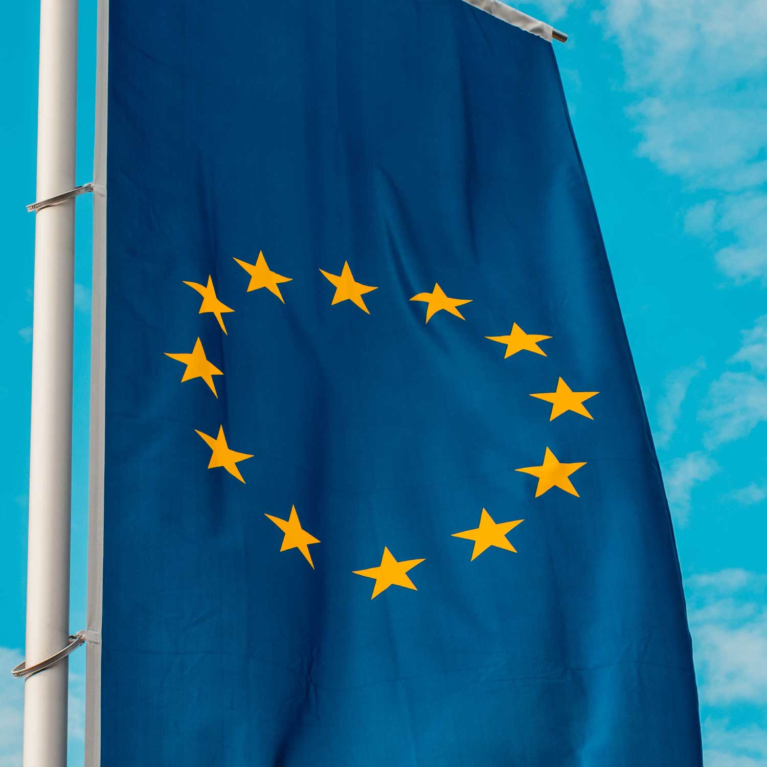 Euro 7-Verordnung: E-Fuels sollen berücksichtigt werden