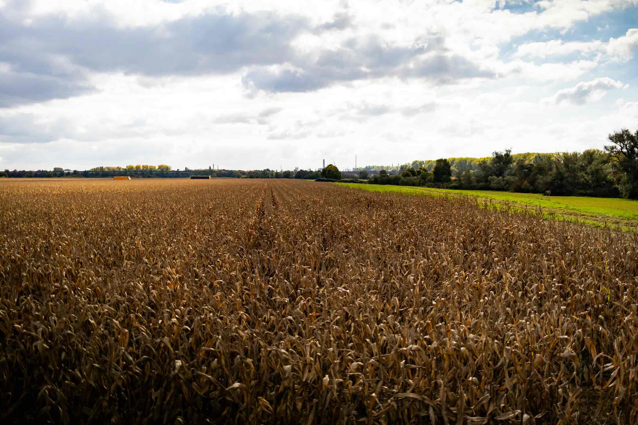 EU nimmt Bioenergie in Klimaziele 2040 auf