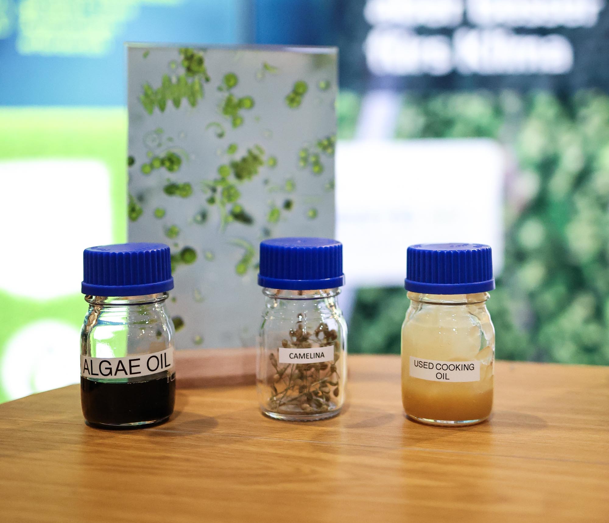 Unterschiedliche Rohstoffe bei der HVO Herstellung